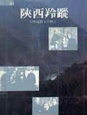 陕西羚踪