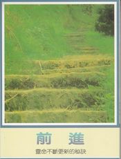 前进